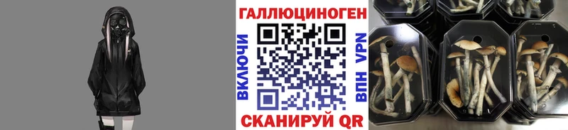 Галлюциногенные грибы Magic Shrooms  shop как зайти  Островной 